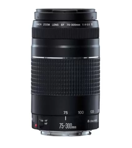 Cámara Fotográfica Canon Reflex EOS REBEL T7 - Imagen 3